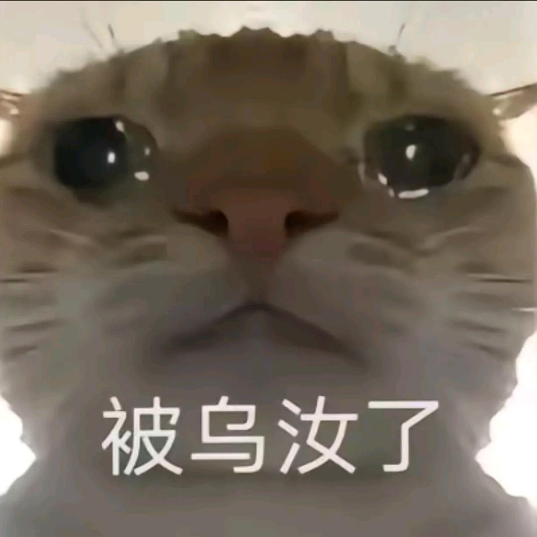 一只羊非酋QAQ