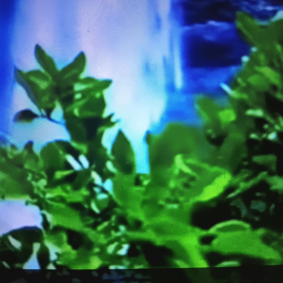 我这个人爱生活；喜欢听听好听的歌曲看到…