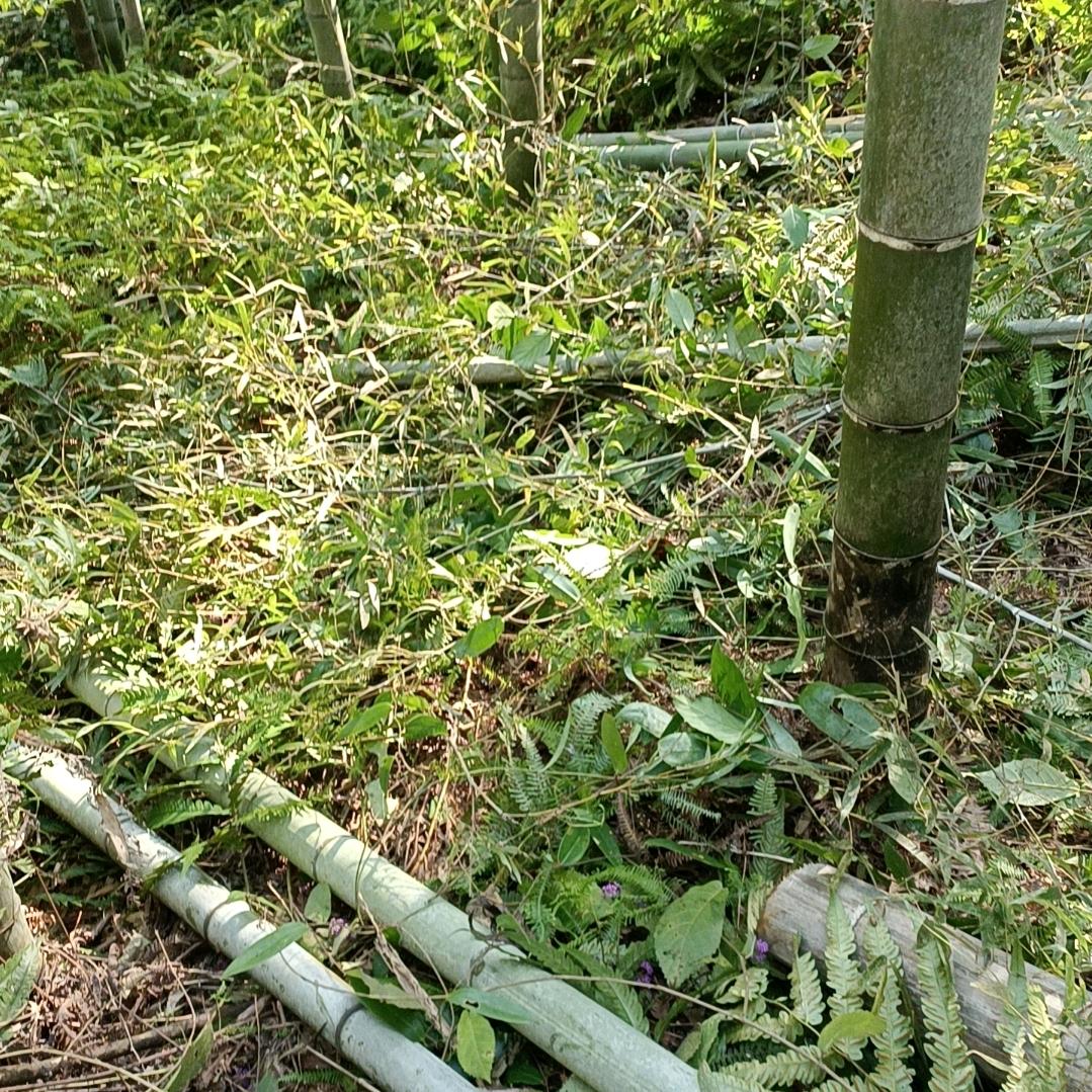 🌪️ℳ๓₯㎕逆风🎯ꦿꦶ༂