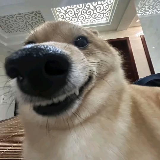 .