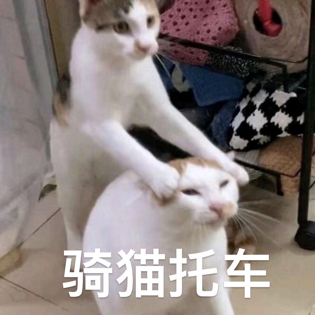 三角洲大王