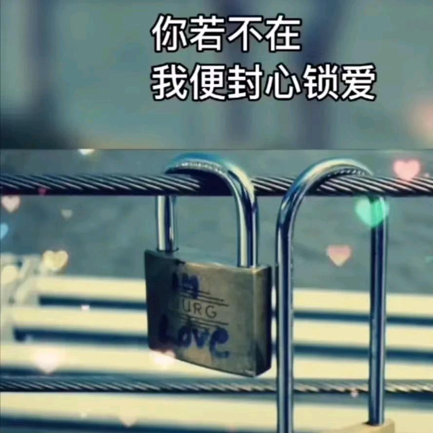 💖情比纸薄💖