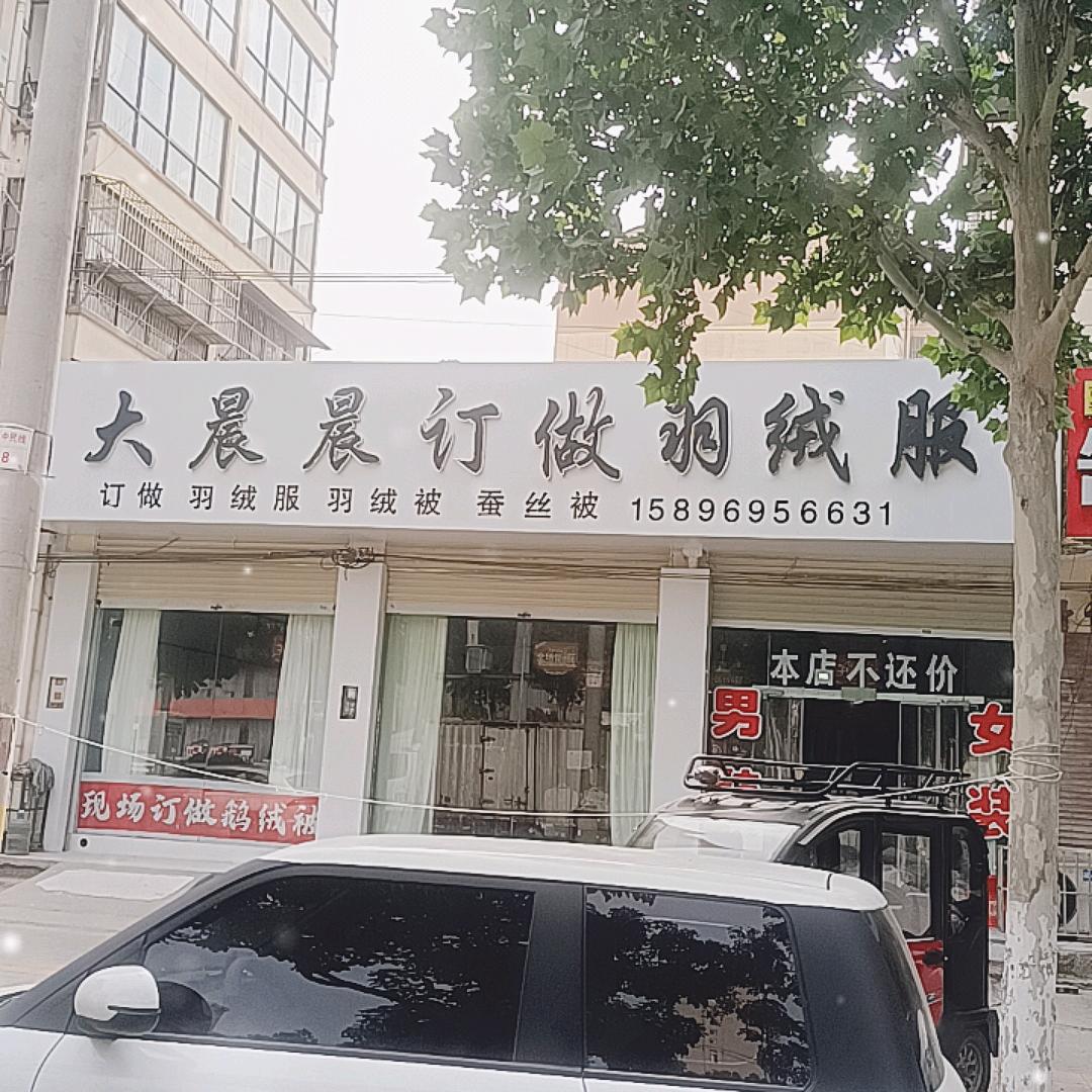 大晨晨订做羽绒服 羽绒被 蚕丝被