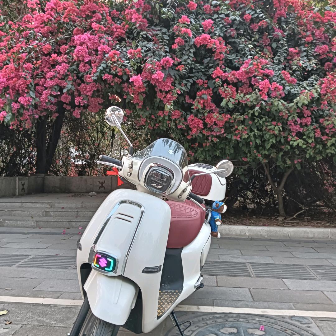 飞扬