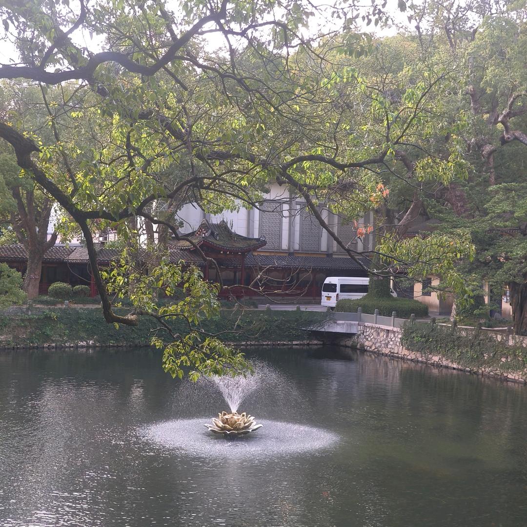 食刻在线🍎🍎