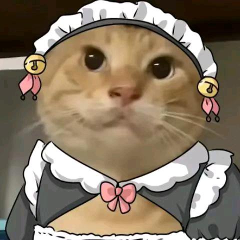 本清狗剩