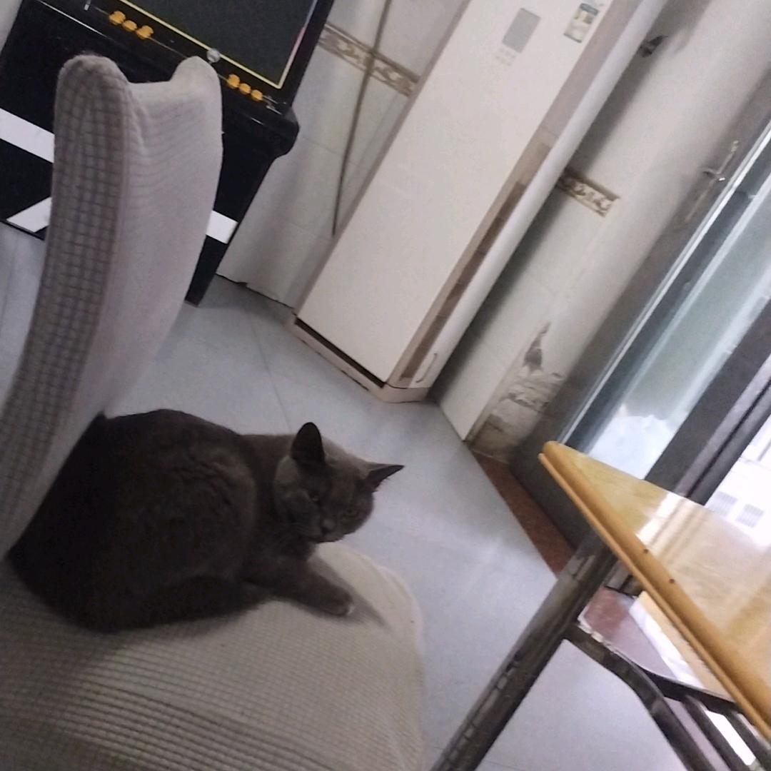 望月