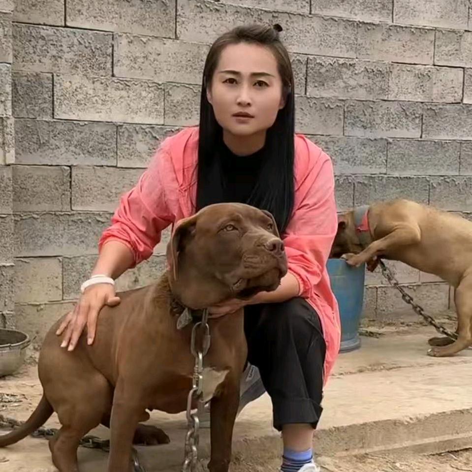 猛犬俱乐部