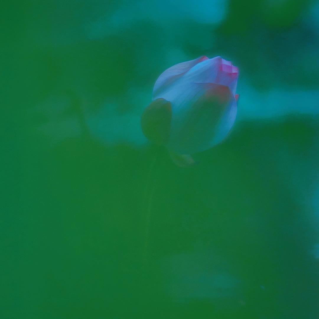 祝予安