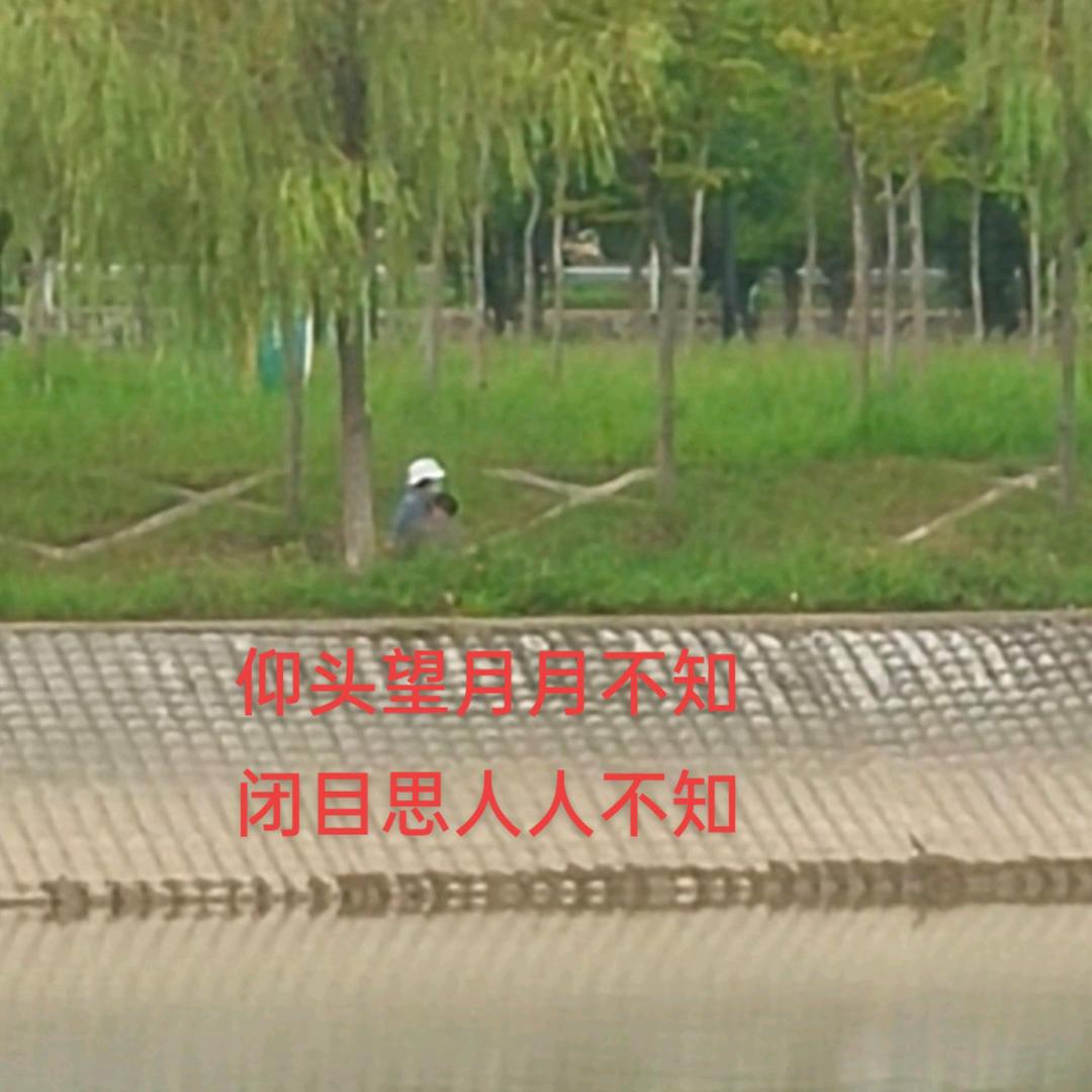 苔藓爬满旧日诺言