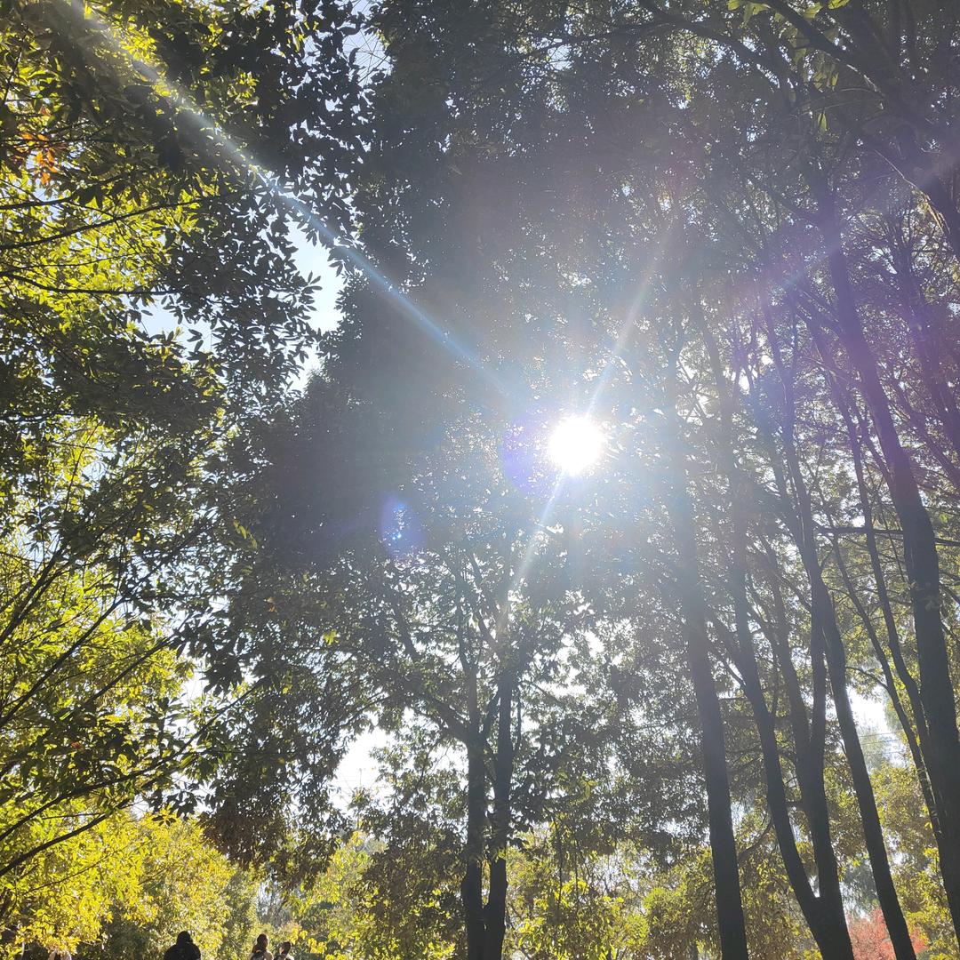 何必在意