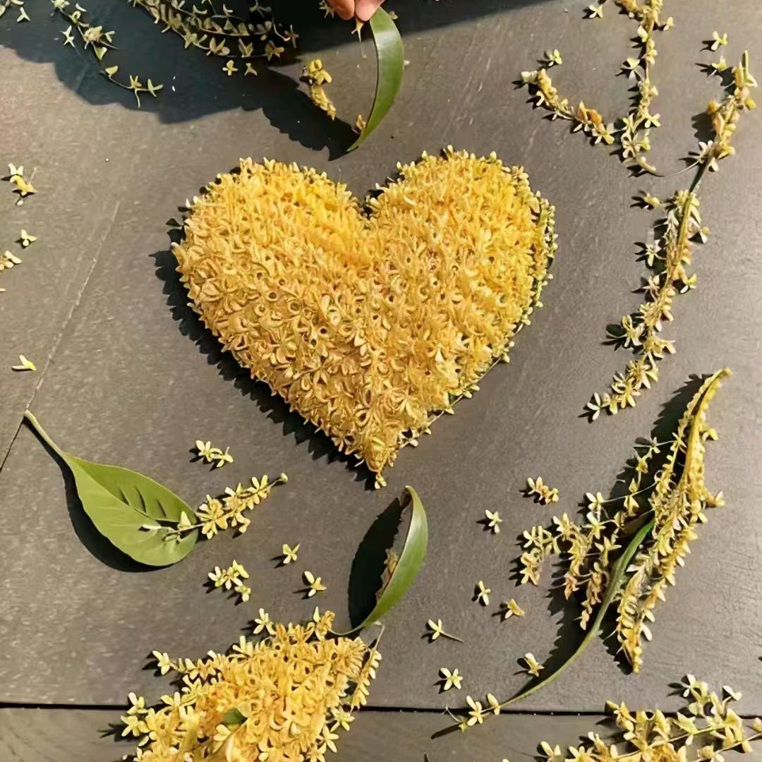 ☞ 一路杨光 ♛ 🐏