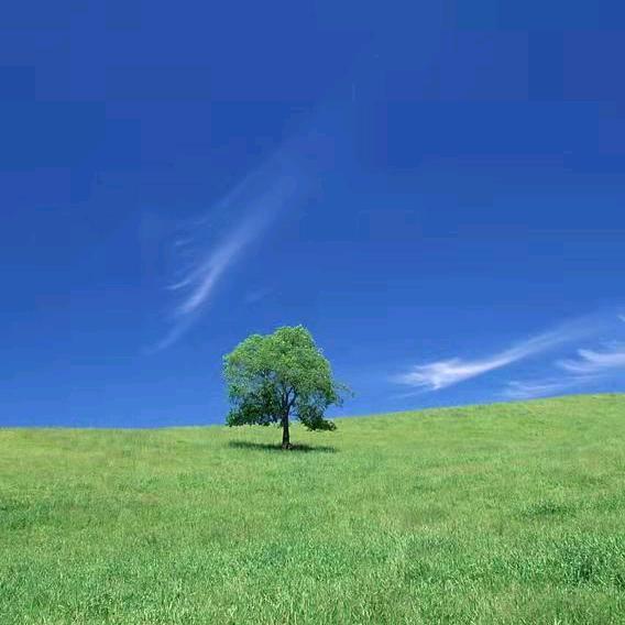 小太阳好物推荐