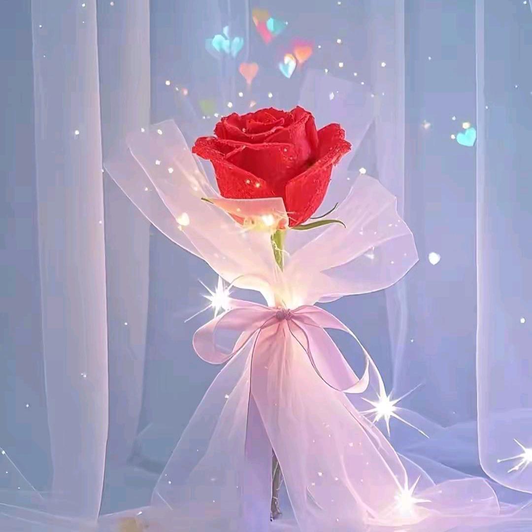 ℡♡Lᵒᵛᵉ：♡♥芬~~
