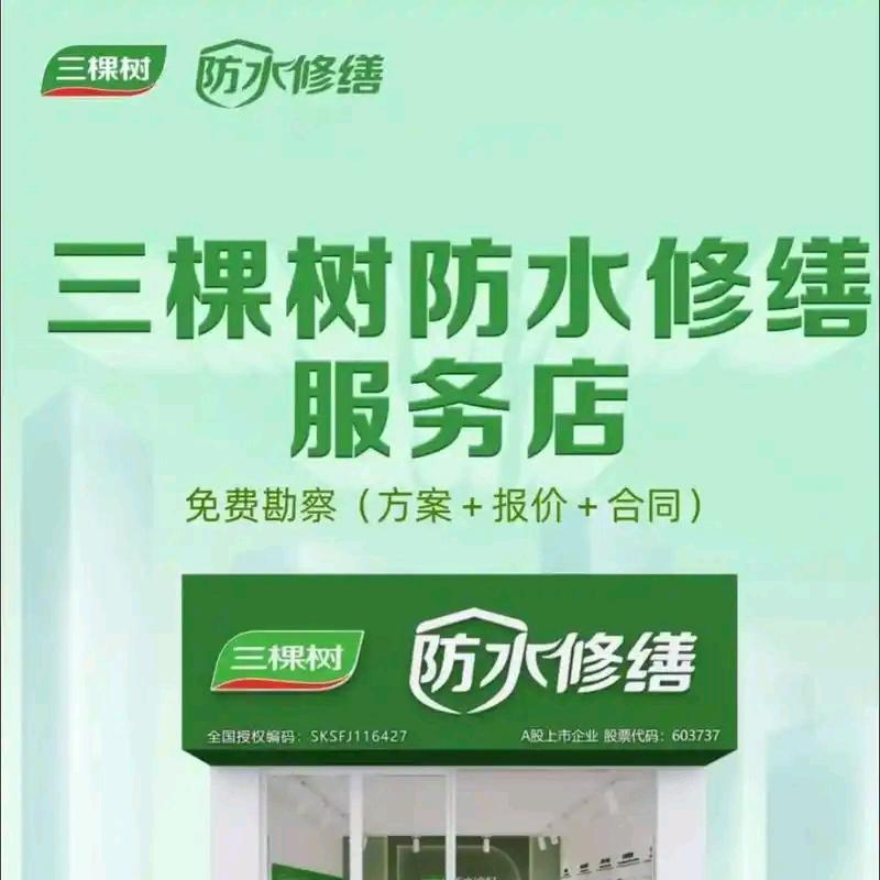 阜南三棵树防水修缮