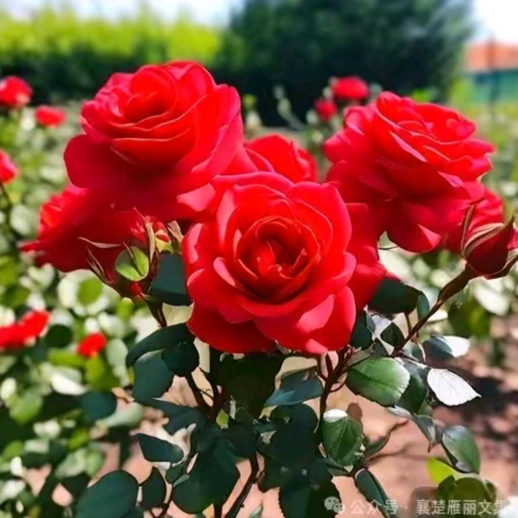 ╭(╯ε╰)╮余生随❤️心