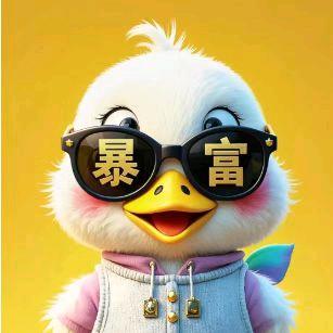 川贝枇杷高女士