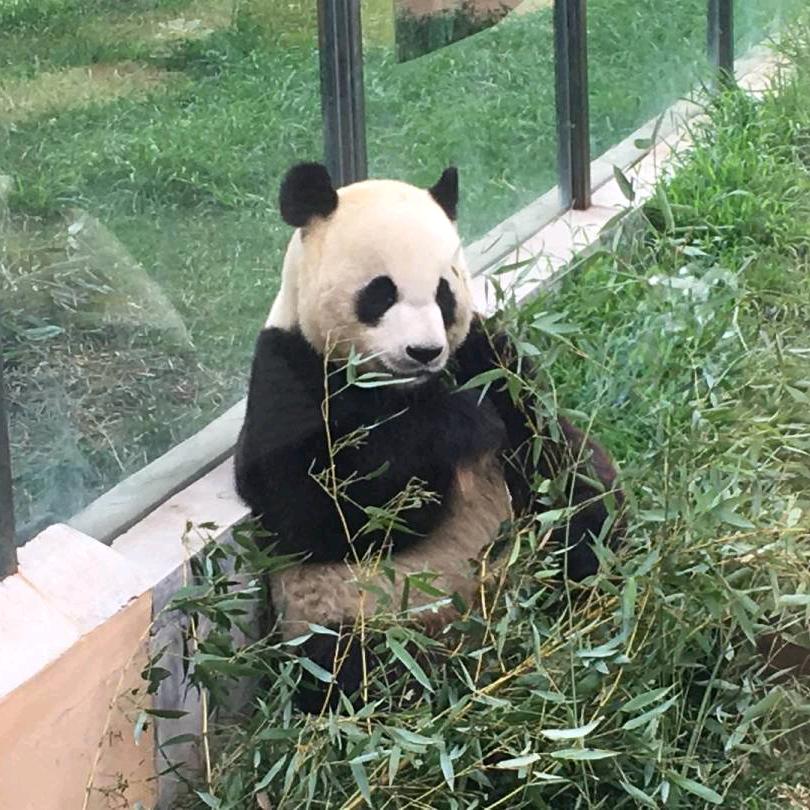 过往云烟