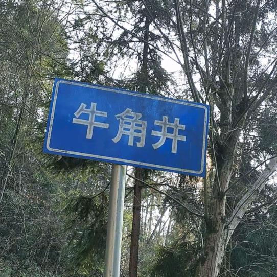 牛角井   邱广