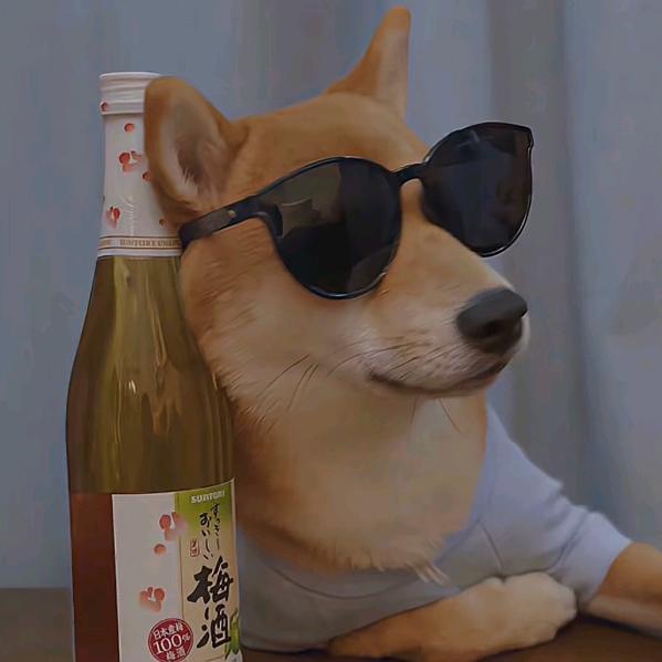 来笼肉包➕蒸饺.