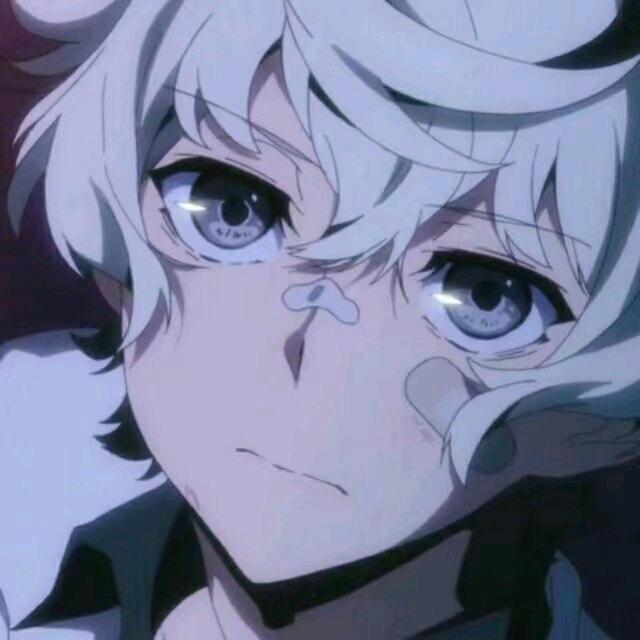 花海.