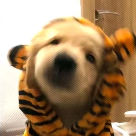 Weity
