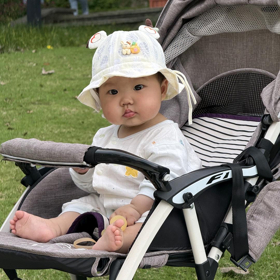 🌈小恐龙不见了🌈