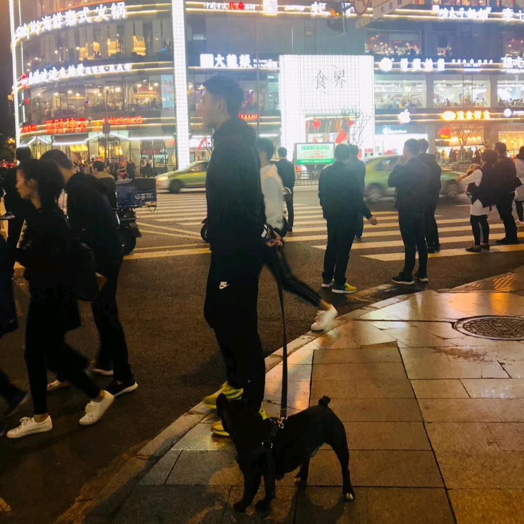 大展宏图🦅【减肥版】