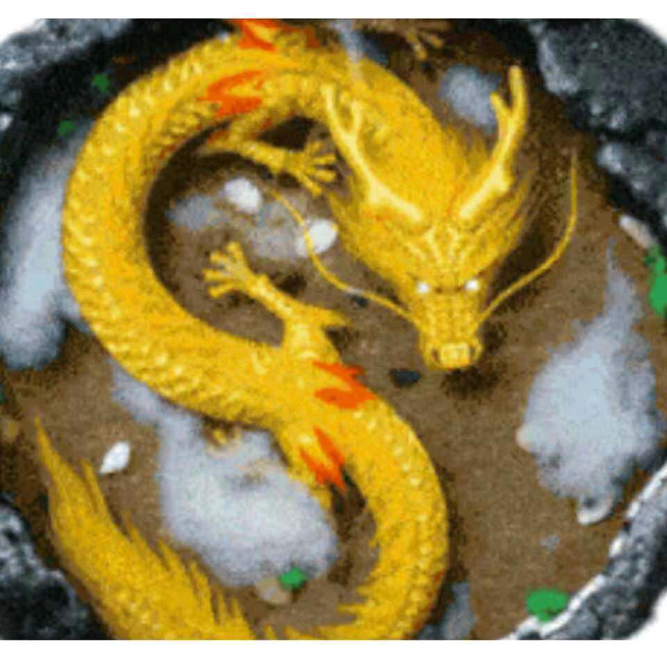 美丽西岔龙启孝