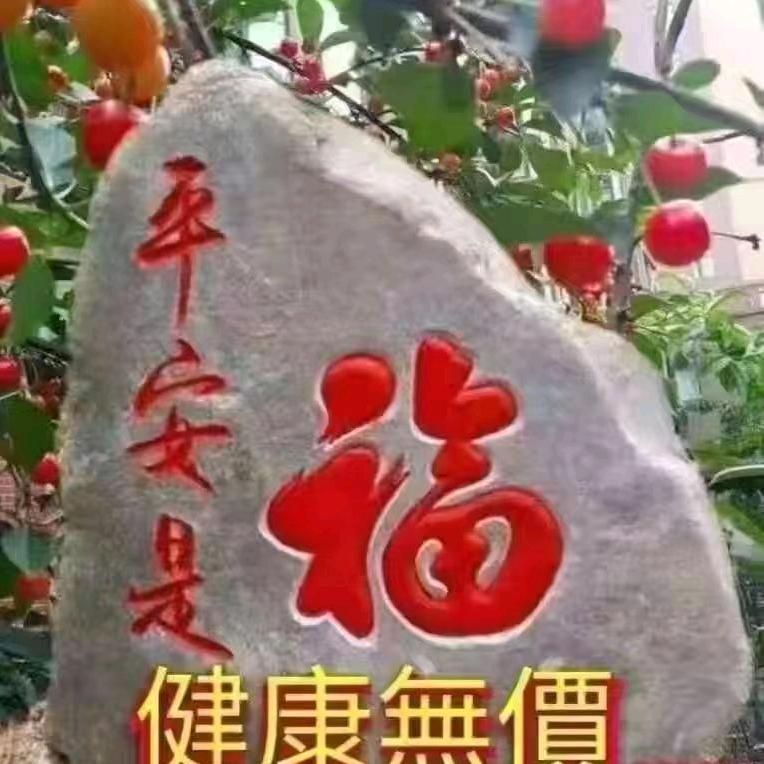 万事胜意