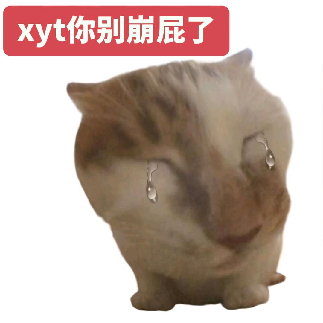 xyt屁臭死了