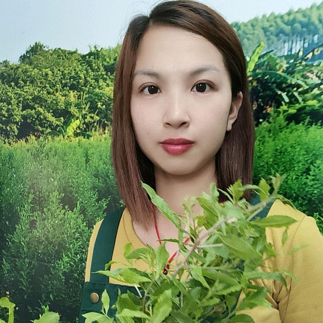 榕榕（四小姐树叶染发）