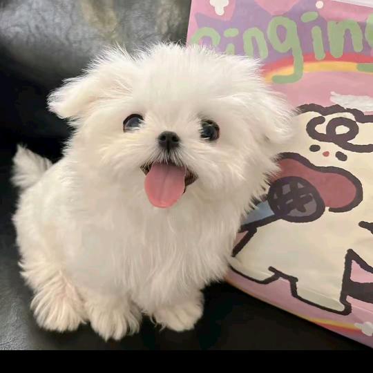 😬