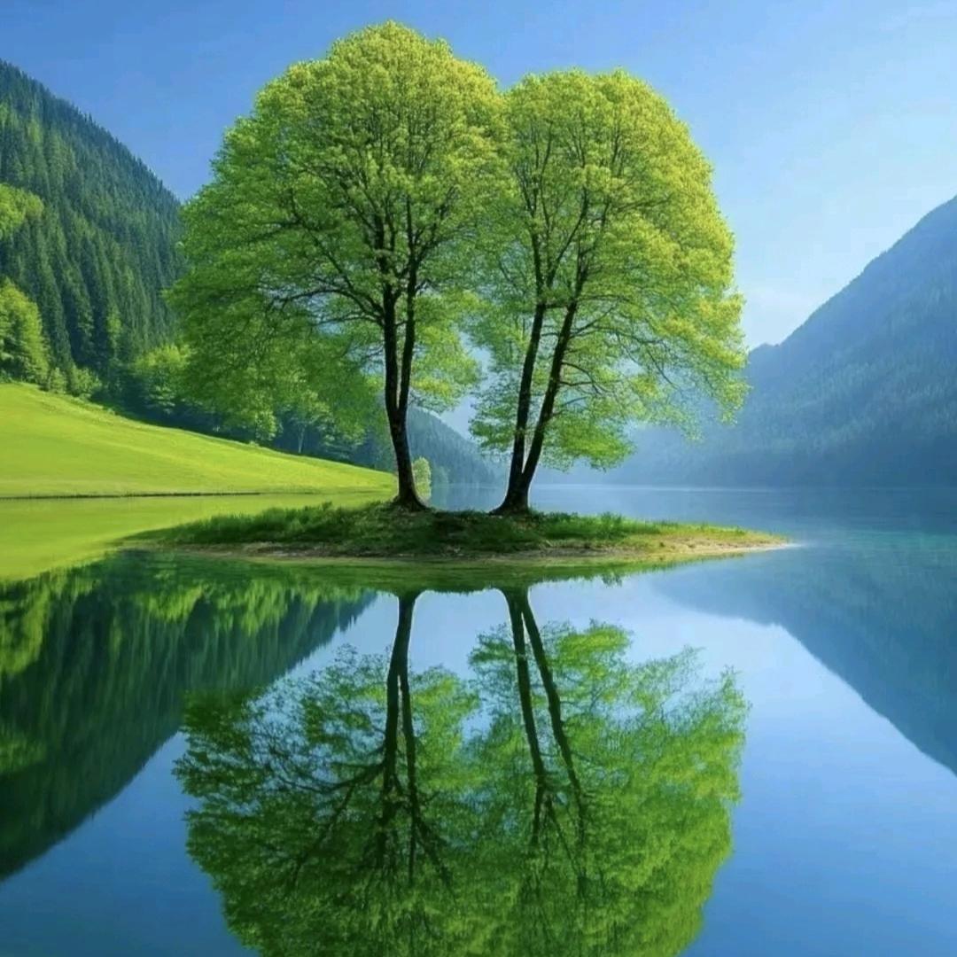 @🌺ꦿ꯭꧔ꦿ᭄余生安好꧔ꦿএ᭄💞