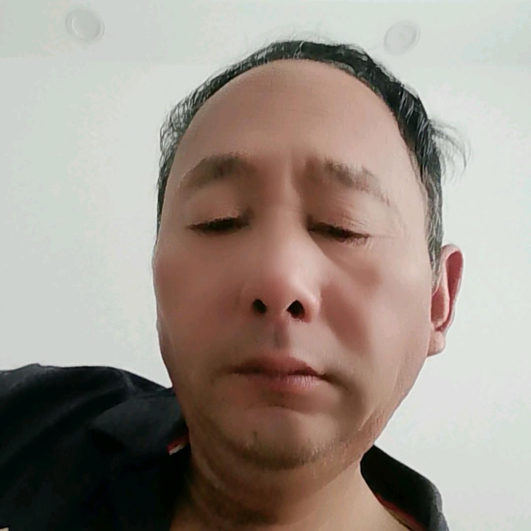 鹰