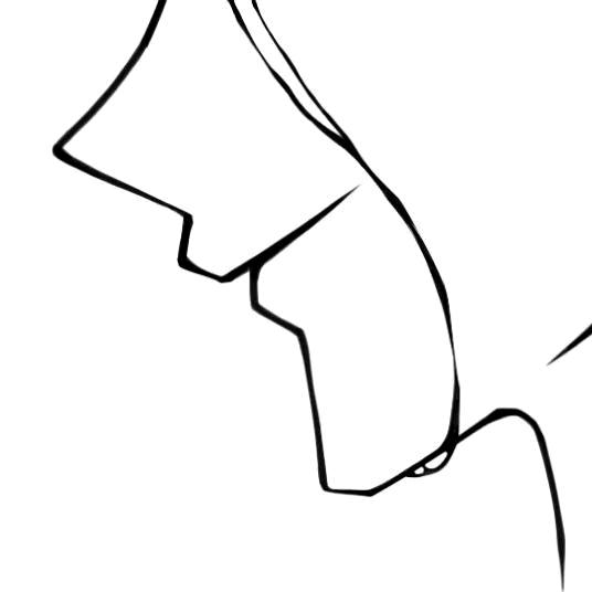 晨