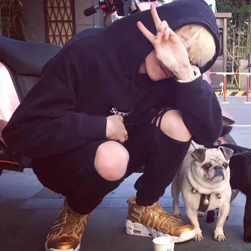 女王殿下养的狗的主人