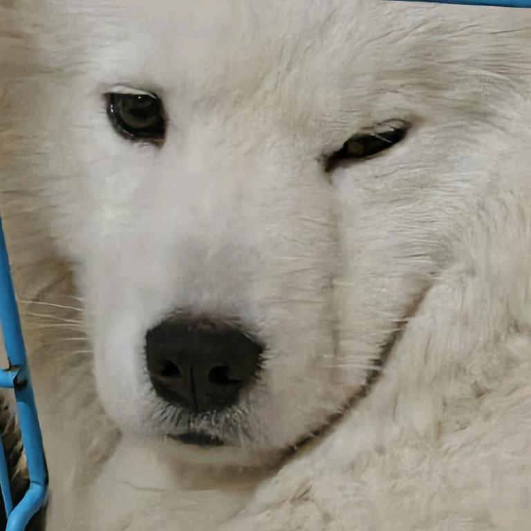 不要念我名