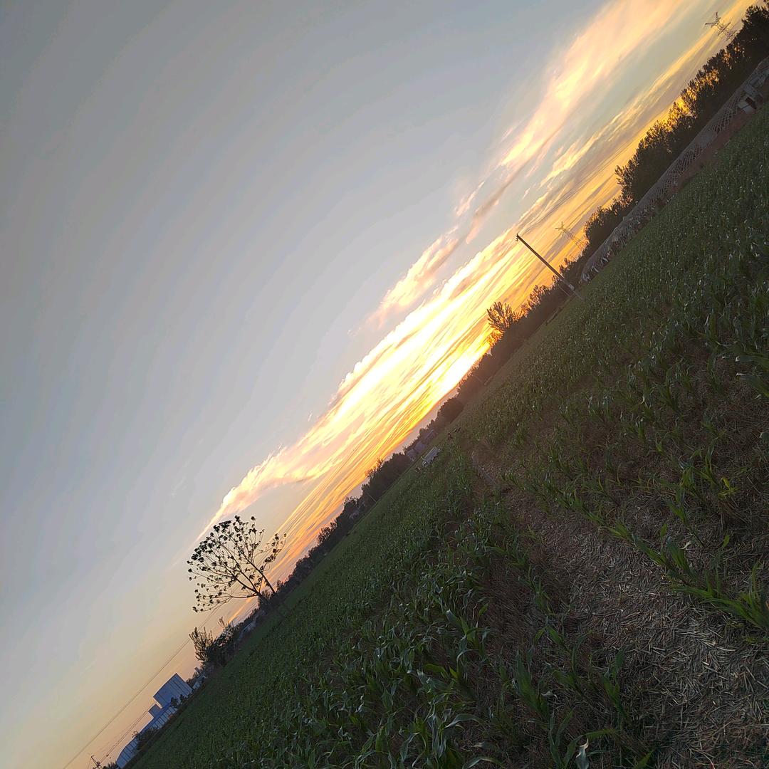 扶看天的那一边