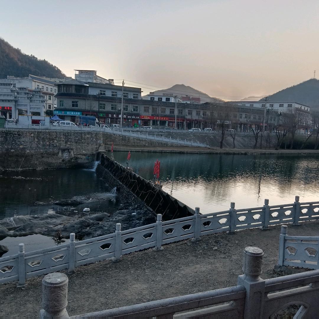 冷什么羊头像