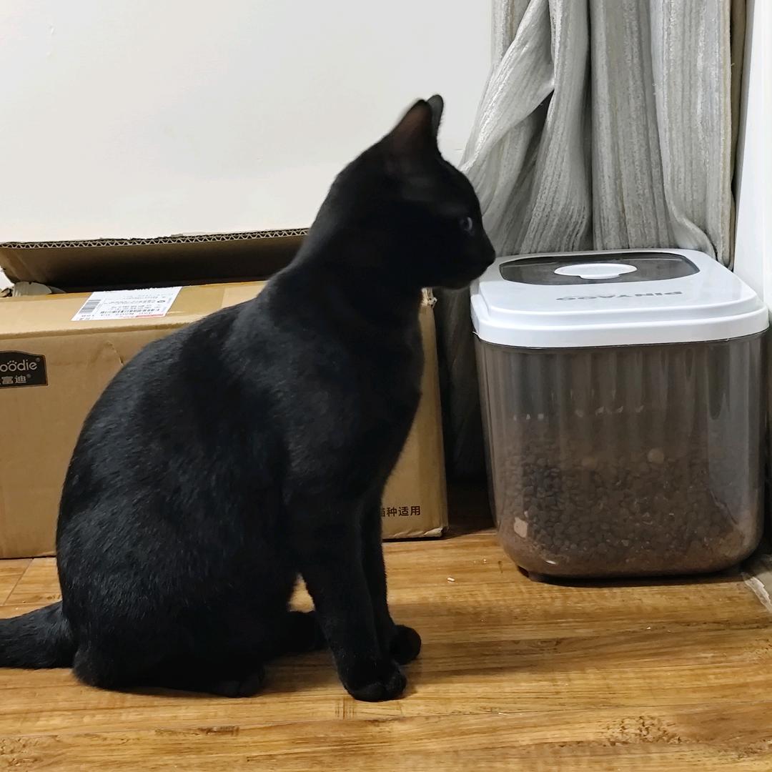 世纪末的魔术师