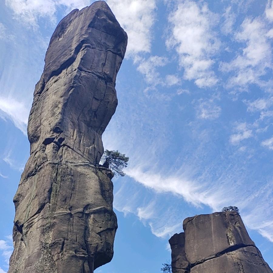 美好时光🌷🌹🌹🌹