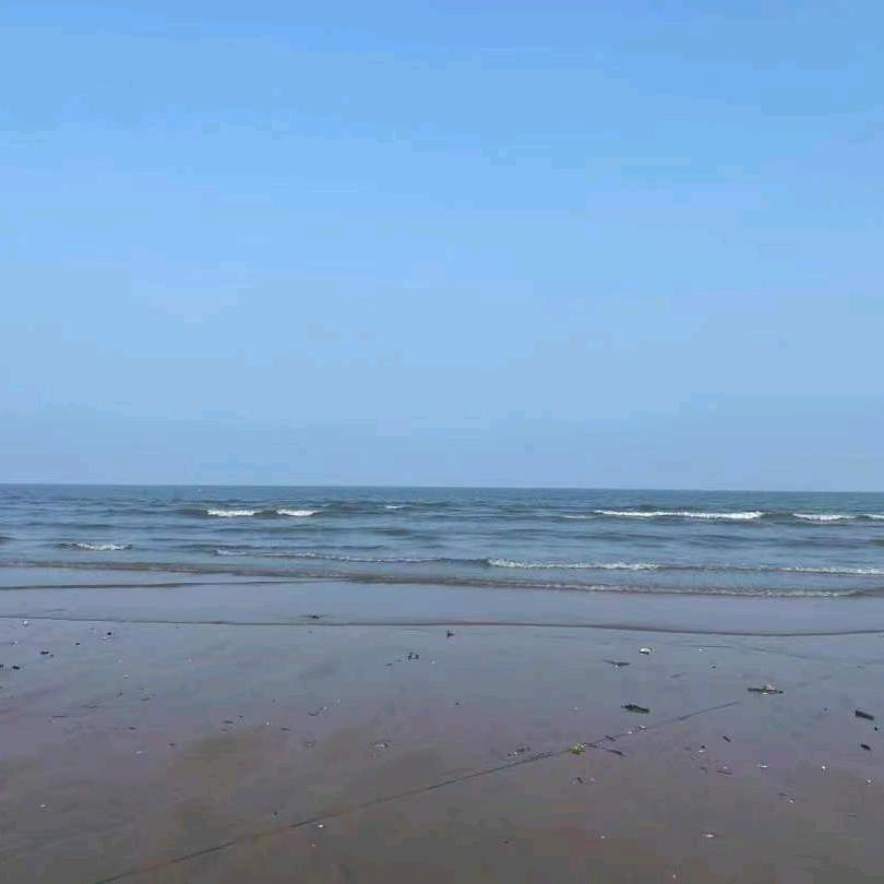 泽宇