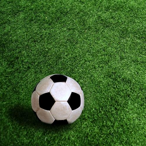 小波带你找方向⚽