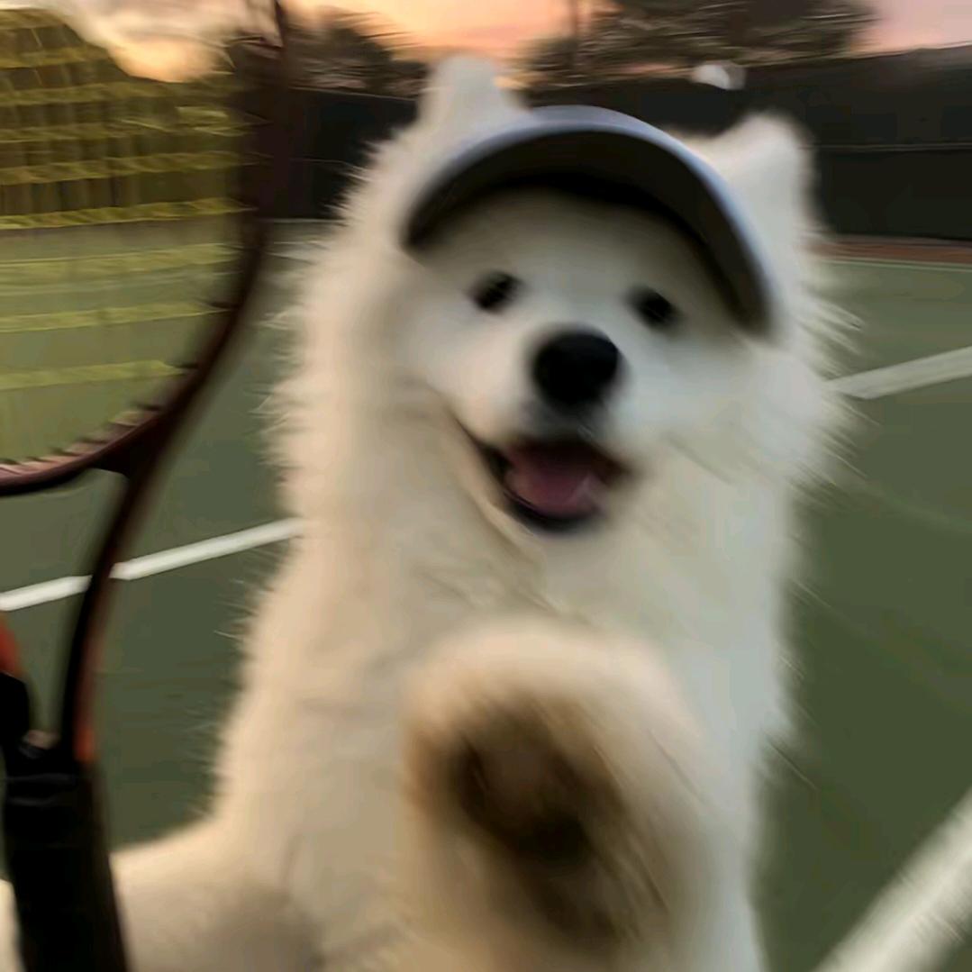 五十弦