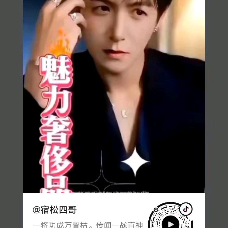 宿松四哥