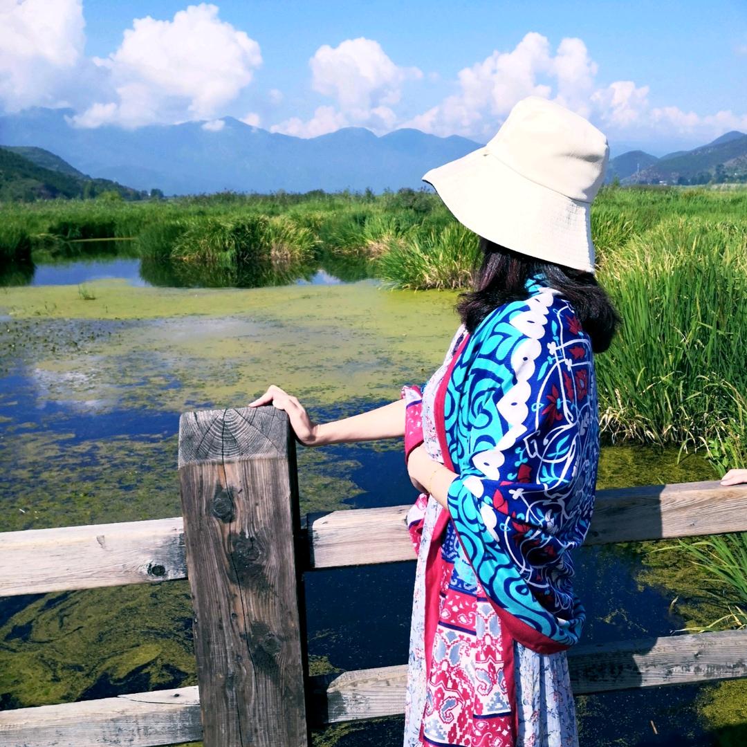 小家碧玉