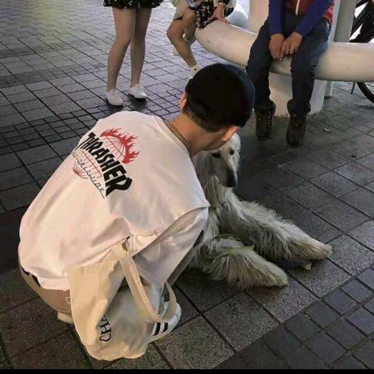 广州站西表业