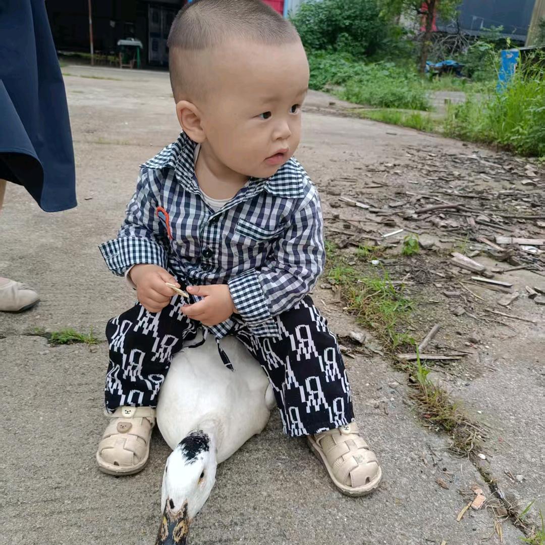 残忆〆