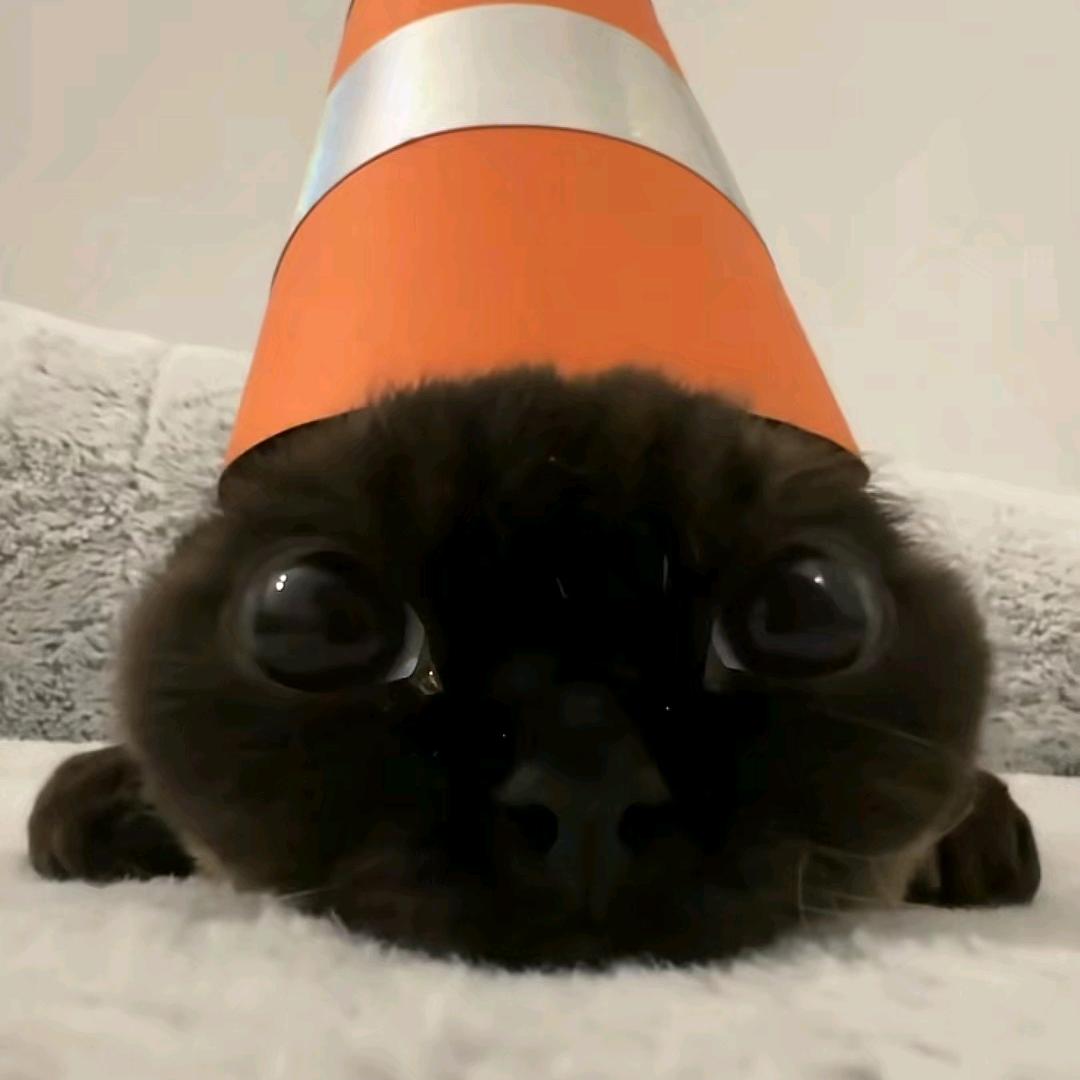 妮克